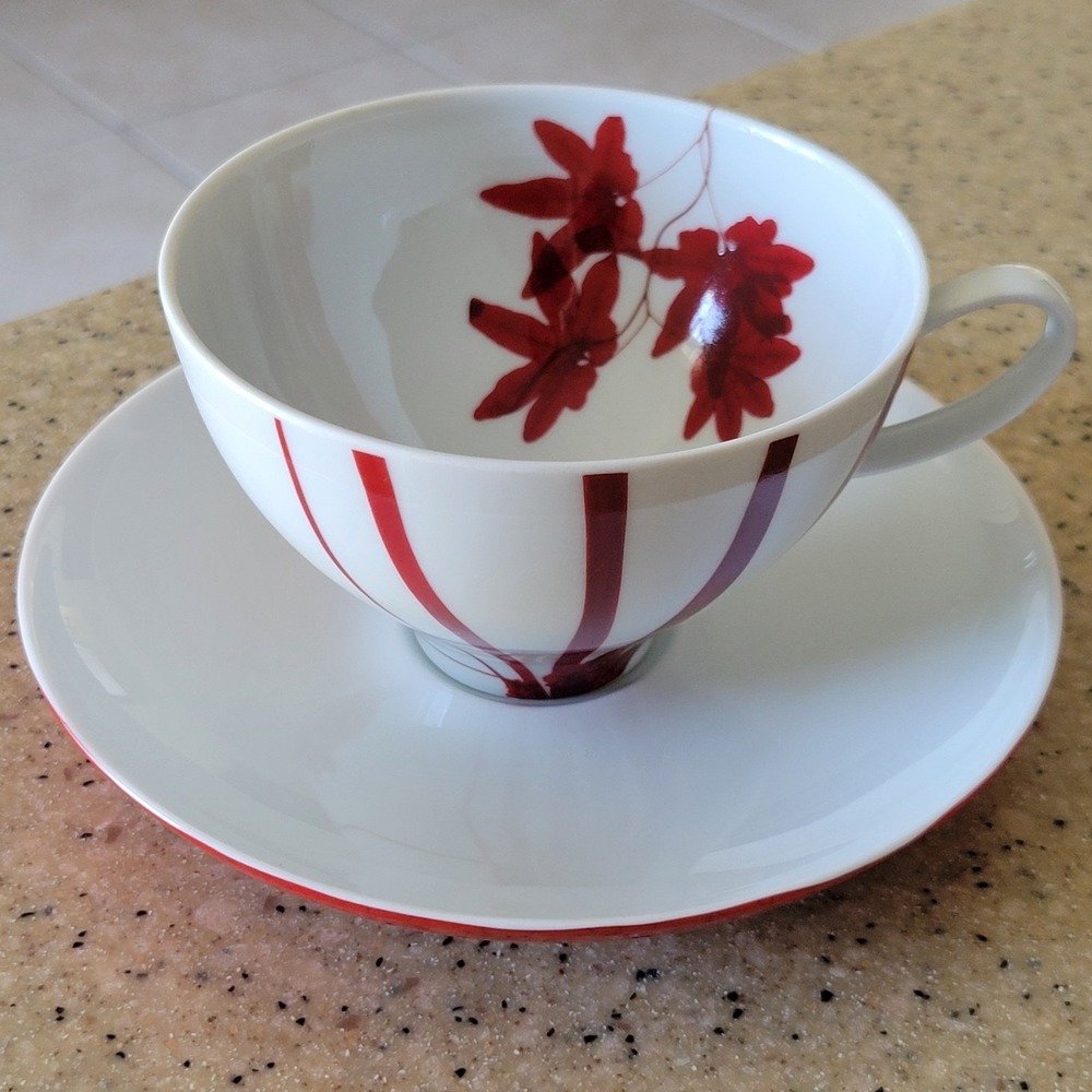 Mikasa Porcelain Pure Red Collection SL 134 10 oz Coffee Cup & Saucer Set NEW